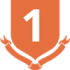 Год гарантии Image
